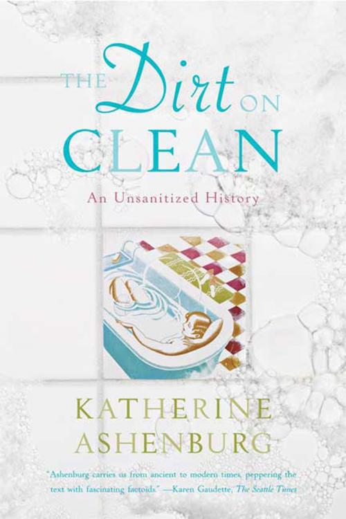 Cover of the book The Dirt on Clean by Katherine Ashenburg, Farrar, Straus and Giroux