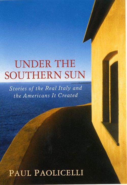 Cover of the book Under the Southern Sun by Paul Paolicelli, St. Martin's Press