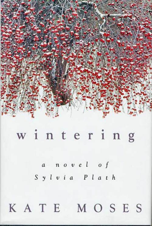 Cover of the book Wintering by Kate Moses, St. Martin's Press