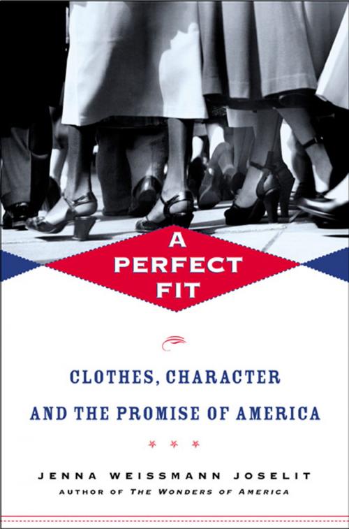 Cover of the book A Perfect Fit by Jenna Weissman Joselit, Henry Holt and Co.