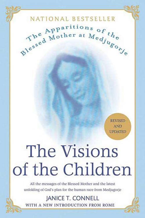 Cover of the book The Visions of the Children by Janice T. Connell, St. Martin's Press