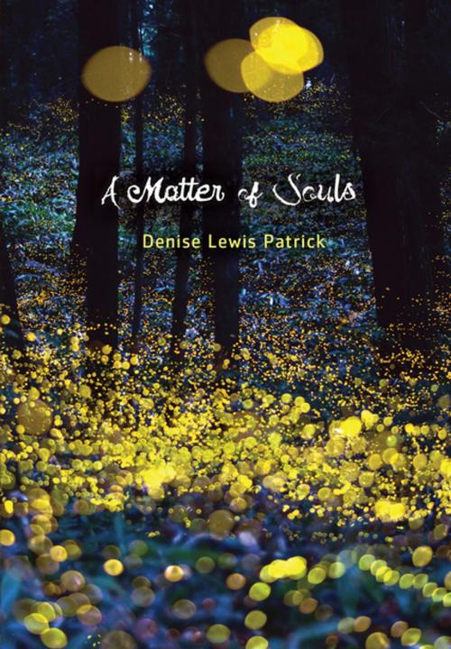 Cover of the book A Matter of Souls by Denise Lewis Patrick, Lerner Publishing Group
