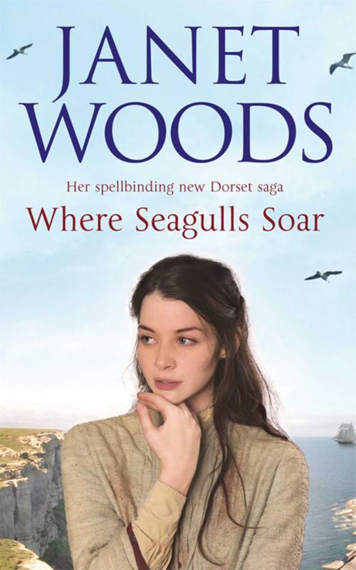 Cover of the book Where Seagulls Soar by Janet Woods, Simon & Schuster UK
