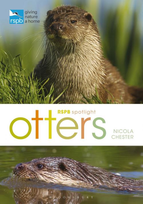 Cover of the book RSPB Spotlight: Otters by Nicola Chester, Bloomsbury Publishing