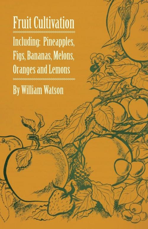 Cover of the book Fruit Cultivation - Including: Figs, Pineapples, Bananas, Melons, Oranges and Lemons by William Watson, Read Books Ltd.