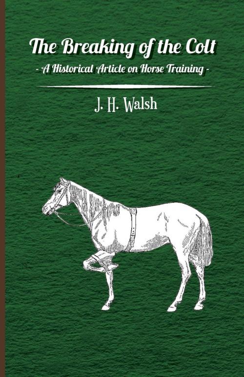 Cover of the book The Breaking of the Colt - A Historical Article on Horse Training by J. H. Walsh, Read Books Ltd.