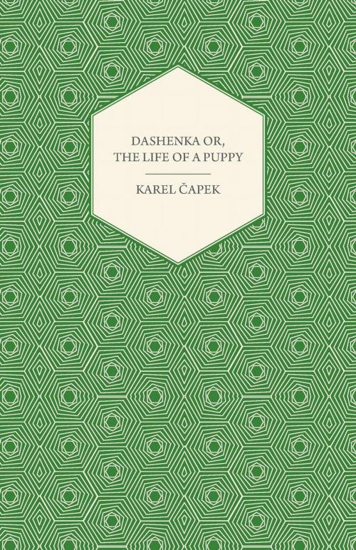Cover of the book Dashenka Or, The Life of a Puppy by Karel Čapek, Read Books Ltd.