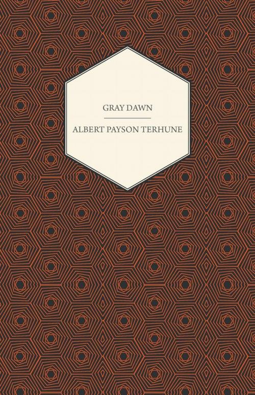 Cover of the book Gray Dawn by Albert Payson Terhune, Read Books Ltd.