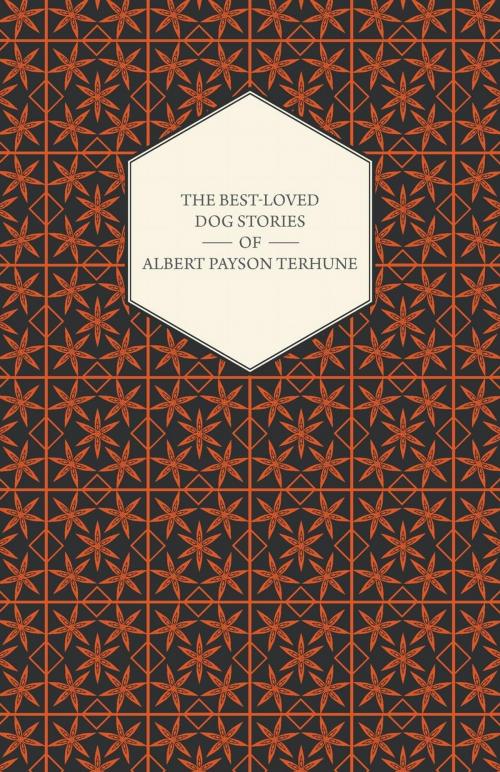 Cover of the book The Best-Loved Dog Stories of Albert Payson Terhune by Albert Payson Terhune, Read Books Ltd.