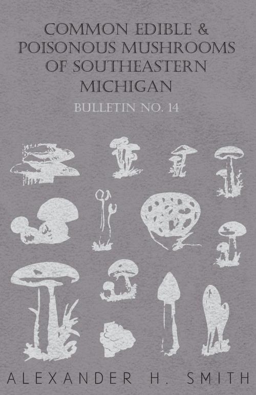 Cover of the book Common Edible and Poisonous Mushrooms of Southeastern Michigan - Bulletin No. 14 by Alexander H. Smith, Read Books Ltd.