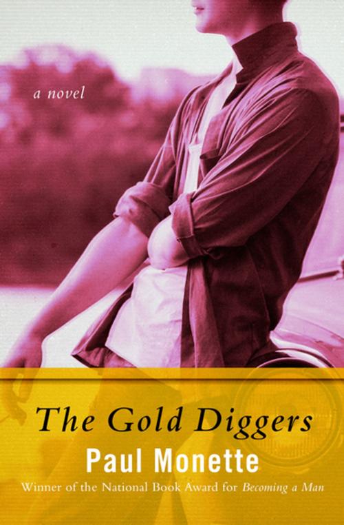Cover of the book The Gold Diggers by Paul Monette, Open Road Media