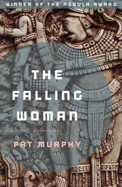 Cover of the book The Falling Woman by Pat Murphy, Open Road Media