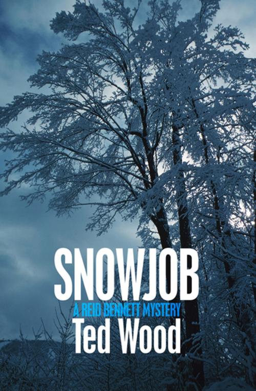 Cover of the book Snowjob by Ted Wood, Open Road Media