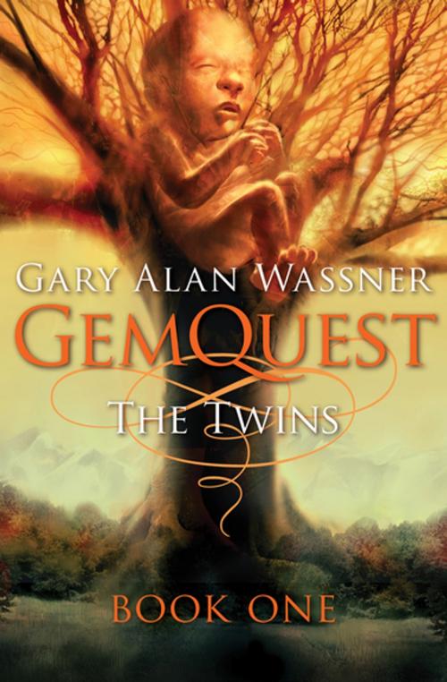 Cover of the book The Twins by Gary Alan Wassner, Open Road Media