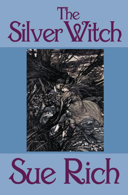 Cover of the book The Silver Witch by Sue Rich, Open Road Media