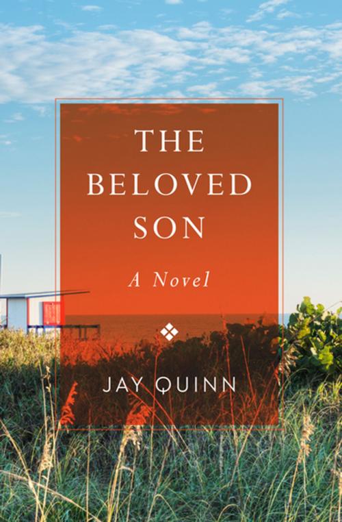 Cover of the book The Beloved Son by Jay Quinn, Open Road Media