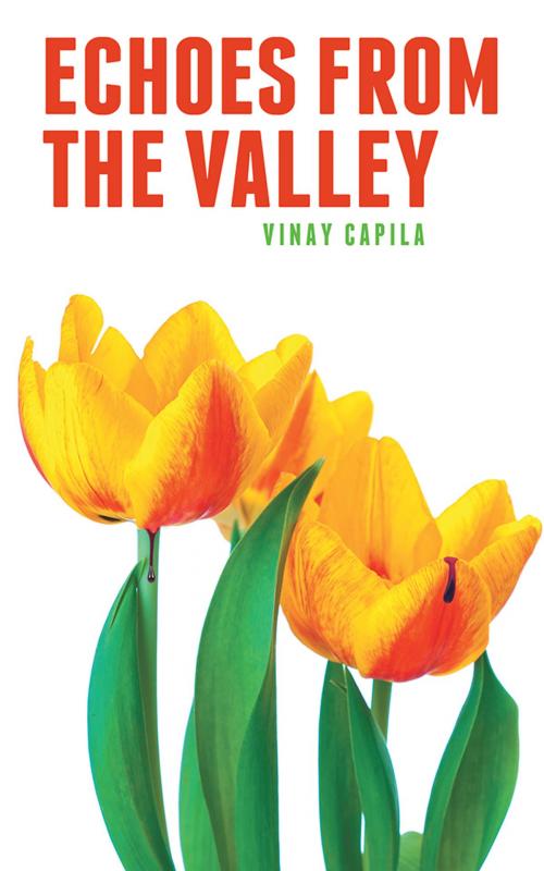 Cover of the book Echoes from the Valley by Vinay Capila, Partridge Publishing India