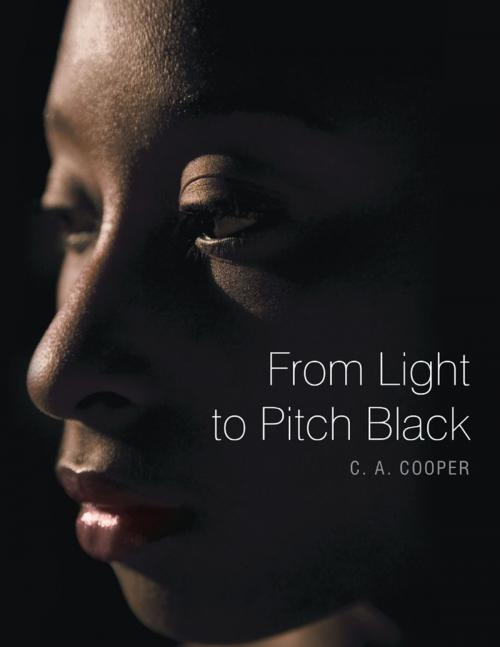 Cover of the book From Light to Pitch Black by C. A. Cooper, Lulu Publishing Services