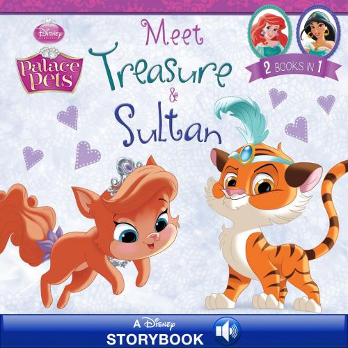Cover of the book Palace Pets: Meet Treasure and Sultan by Disney Book Group, Disney Book Group