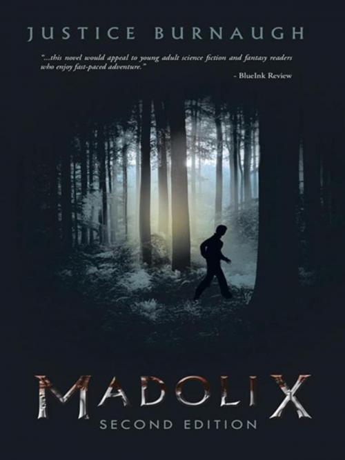 Cover of the book Madolix by Justice Burnaugh, Trafford Publishing
