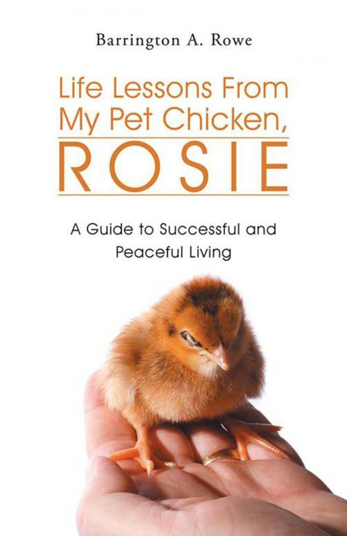 Cover of the book Life Lessons from My Pet Chicken, Rosie by Barrington A. Rowe, Trafford Publishing