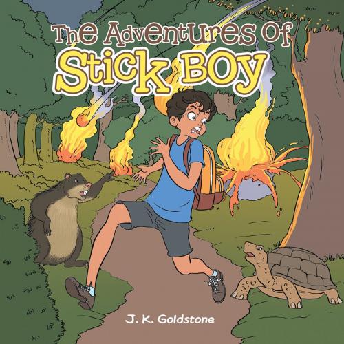 Cover of the book The Adventures of Stick Boy by J. K. Goldstone, Trafford Publishing