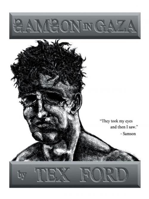 Cover of the book Samson in Gaza by Tex Ford, WestBow Press