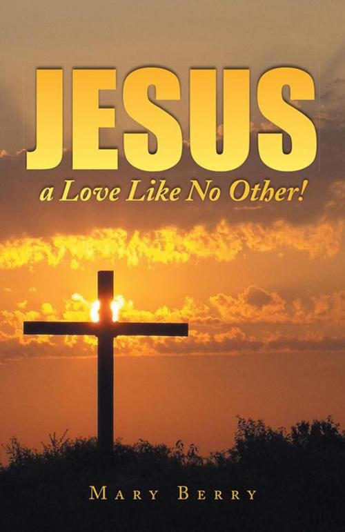 Cover of the book Jesus, a Love Like No Other! by Mary Berry, WestBow Press