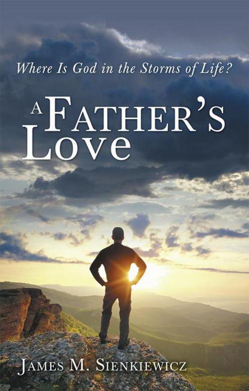 Cover of the book A Father's Love by James M. Sienkiewicz, WestBow Press