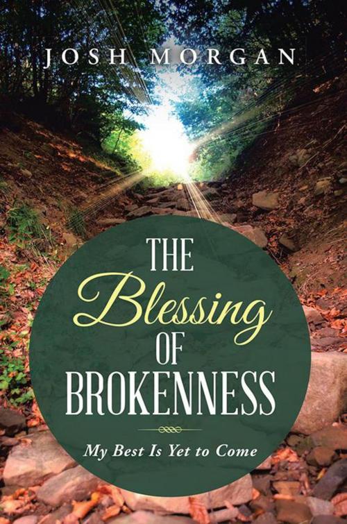Cover of the book The Blessing of Brokenness by Josh Morgan, WestBow Press