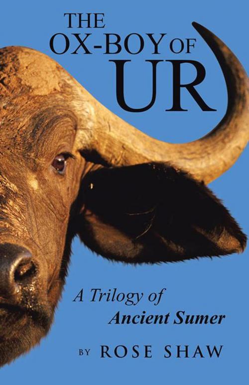 Cover of the book The Ox-Boy of Ur by Rose Shaw, iUniverse