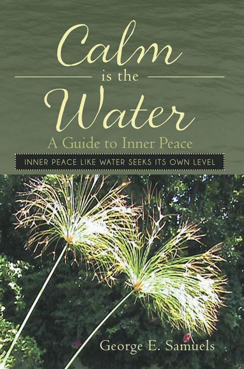 Cover of the book Calm Is the Water by George E. Samuels, iUniverse