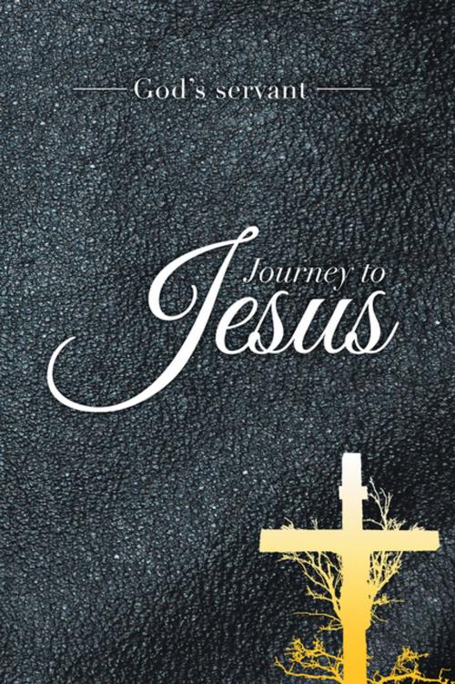 Cover of the book Journey to Jesus by God's servant, Xlibris US