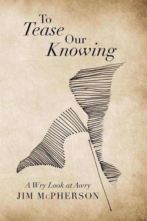 Cover of the book To Tease Our Knowing by Jim McPherson, Xlibris AU