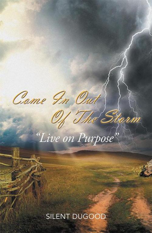 Cover of the book Come in out of the Storm by Silent Dugood, Xlibris US
