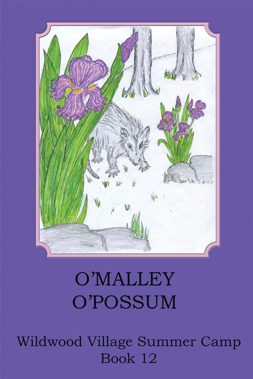 Cover of the book O'malley O'possom by Joann Ellen Sisco, AuthorHouse