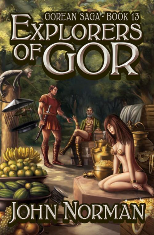 Cover of the book Explorers of Gor by John Norman, Open Road Media