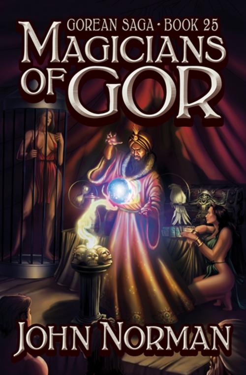 Cover of the book Magicians of Gor by John Norman, Open Road Media