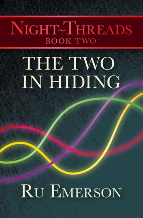 Cover of the book The Two in Hiding by Ru Emerson, Open Road Media