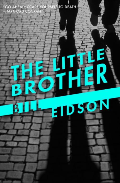 Cover of the book The Little Brother by Bill Eidson, Open Road Media