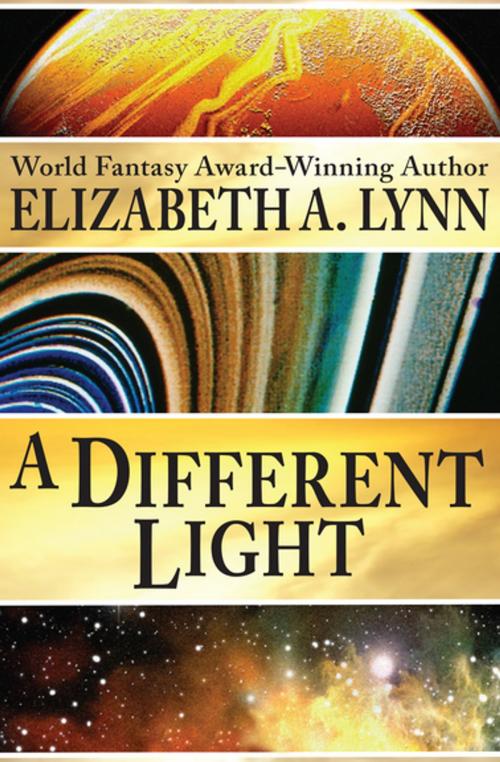 Cover of the book A Different Light by Elizabeth A. Lynn, Open Road Media