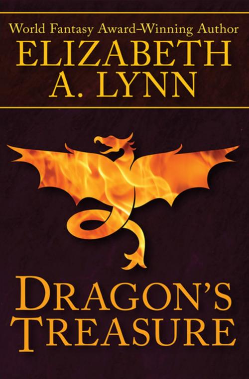 Cover of the book Dragon's Treasure by Elizabeth A. Lynn, Open Road Media