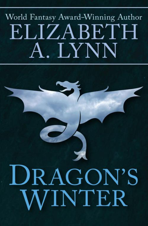 Cover of the book Dragon's Winter by Elizabeth A. Lynn, Open Road Media