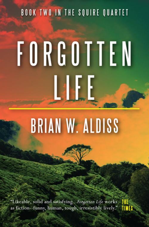 Cover of the book Forgotten Life by Brian W. Aldiss, Open Road Media