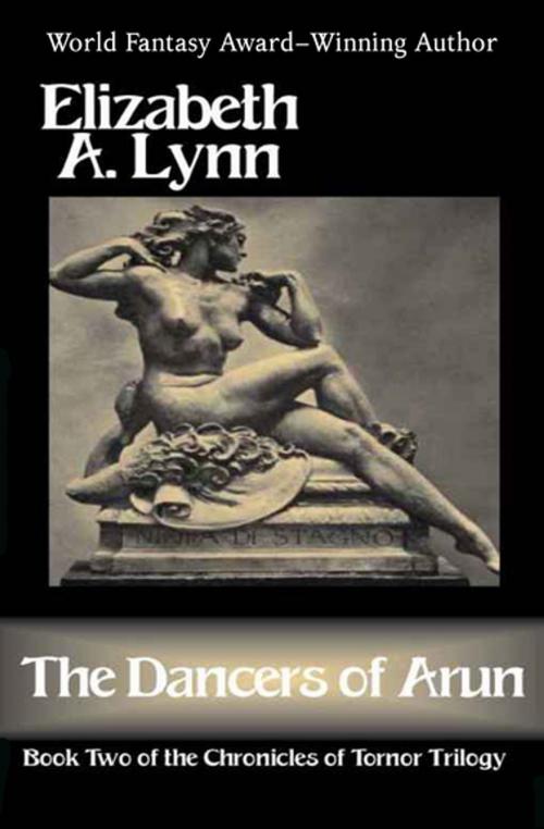 Cover of the book The Dancers of Arun by Elizabeth A. Lynn, Open Road Media