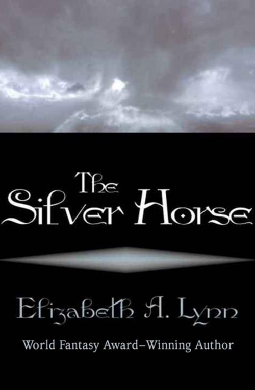 Cover of the book The Silver Horse by Elizabeth A. Lynn, Open Road Media
