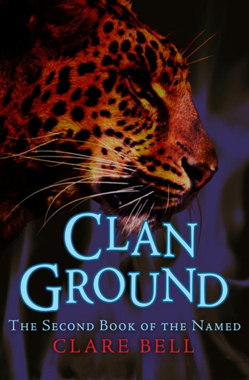 Cover of the book Clan Ground by Clare Bell, Open Road Media