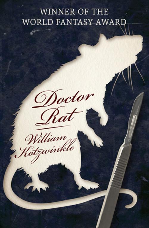 Cover of the book Doctor Rat by William Kotzwinkle, Open Road Media