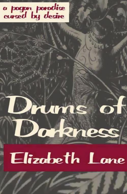 Cover of the book Drums of Darkness by Elizabeth Lane, Open Road Media