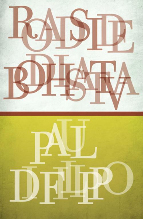 Cover of the book Roadside Bodhisattva by Paul Di Filippo, Open Road Media